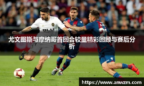 zoty中欧官网