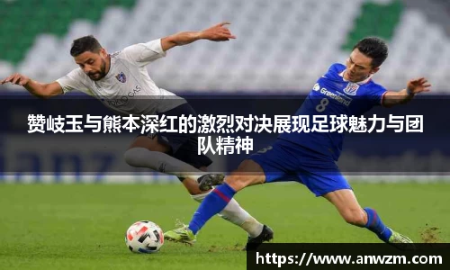 zoty中欧