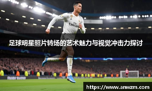 zoty中欧官网