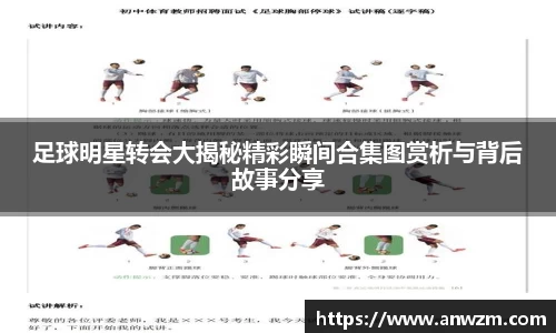 zoty中欧官方网站